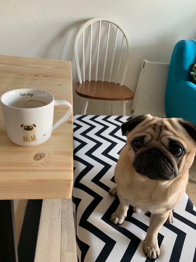 Cute Pug Guest Room Köpenhamn Exteriör bild