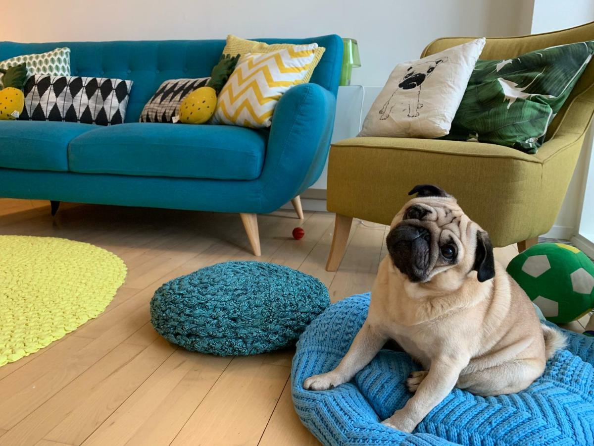 Cute Pug Guest Room Köpenhamn Exteriör bild